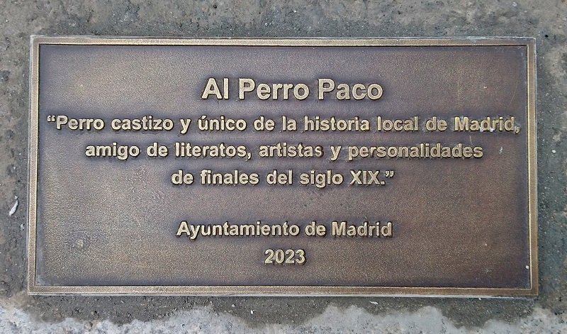 Paco, el perro más famoso de Madrid