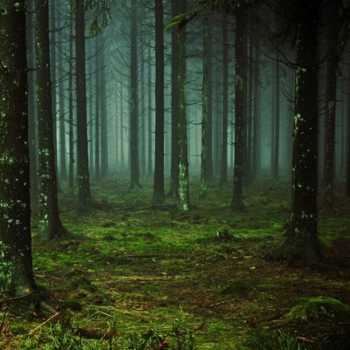 Leyenda de La Santa Compaña (Galicia)