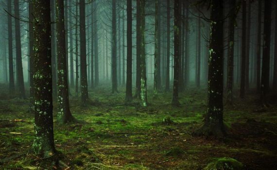 Leyenda de La Santa Compaña (Galicia)